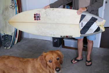 Plus One Rehab Surfboard 5'6