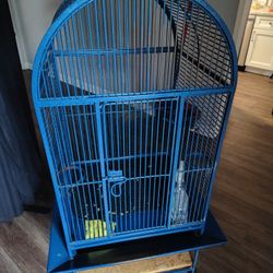Bird Cage 