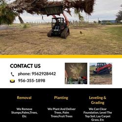Se Ase Trabajos De Limpieza De Terrenos Y Removiendo Arboles Arbustos Y Mas Cosas ...
