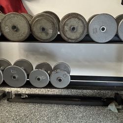 Dumbbells And Rack 