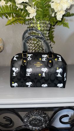 Coach snoopy