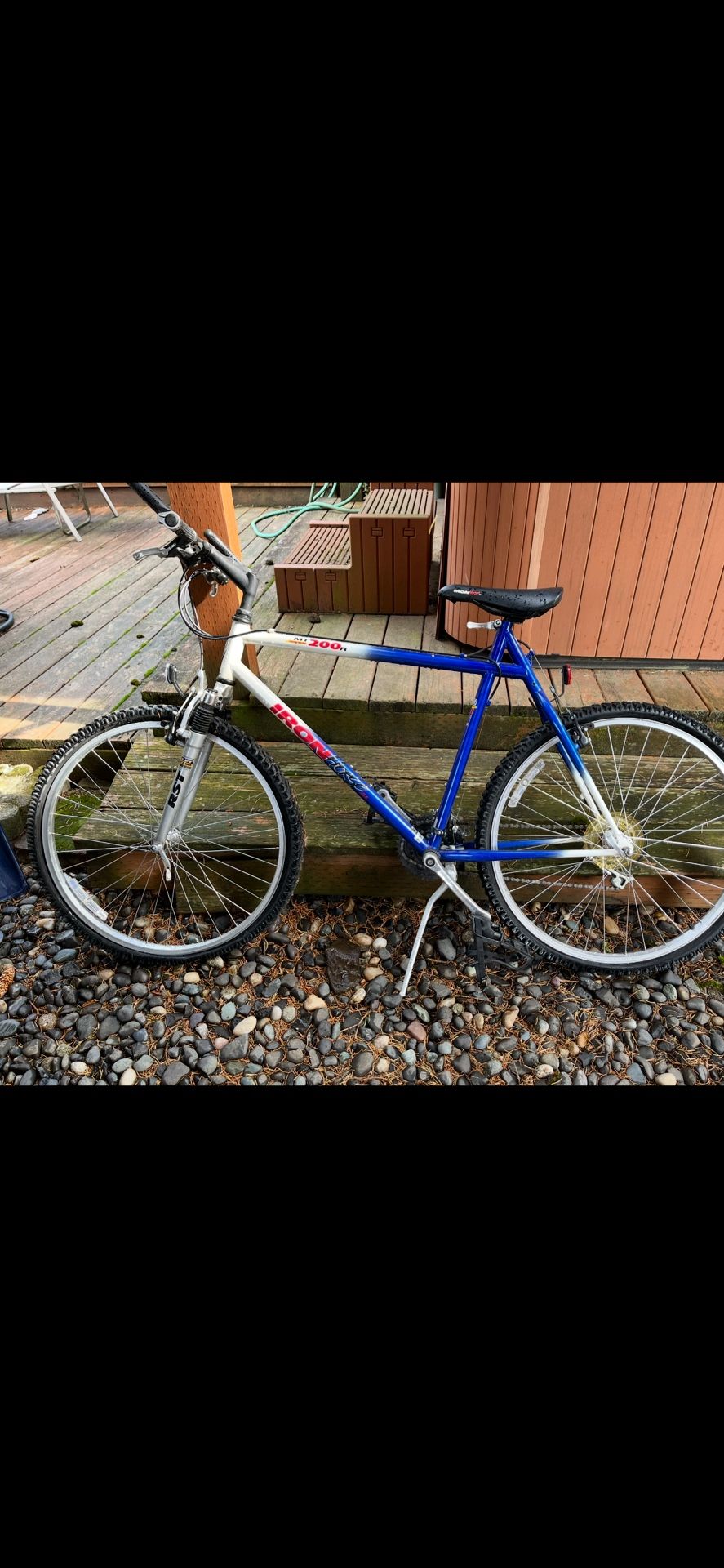 Vintage Iron Horse Bike
