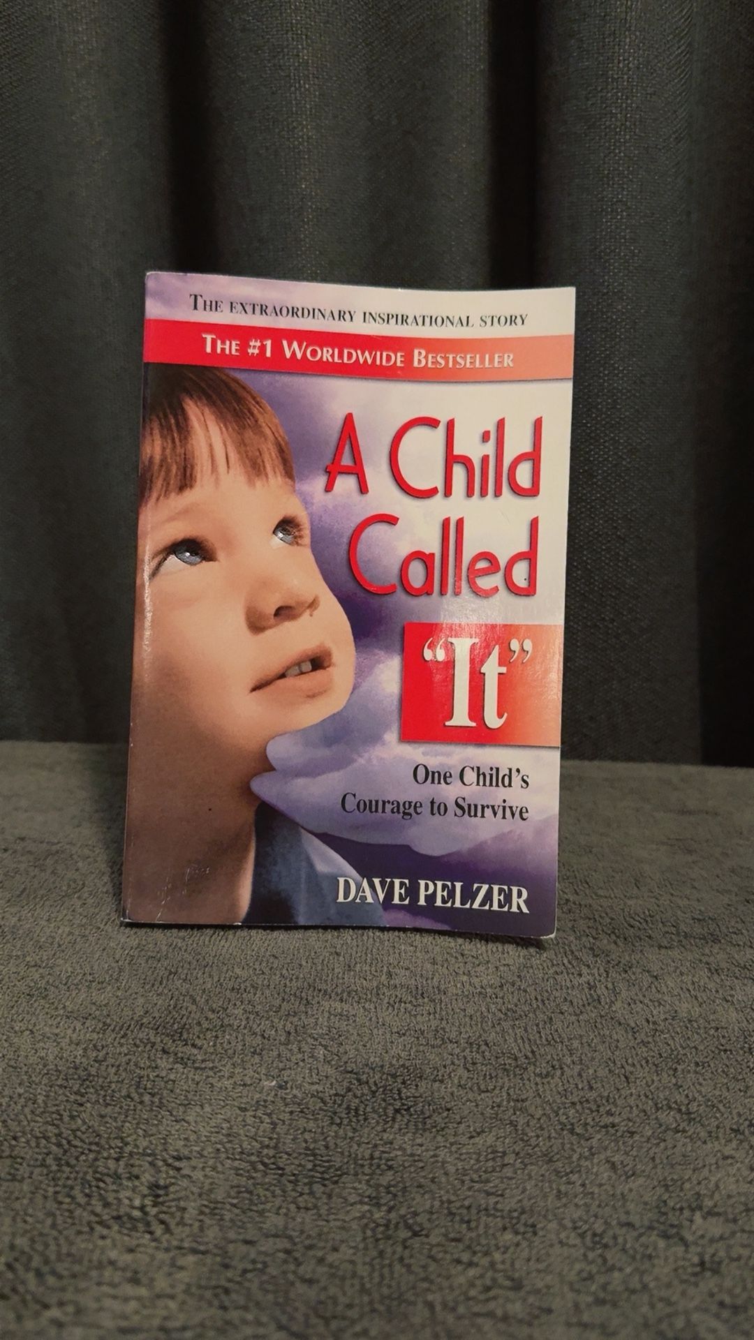 A Child Called It Book