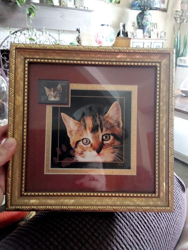 2002 USPS Kitten Framed Print & Postage Stamp. 