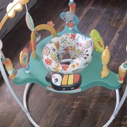 Fisher Price Baby Bouncer  Forest Jumperoo 