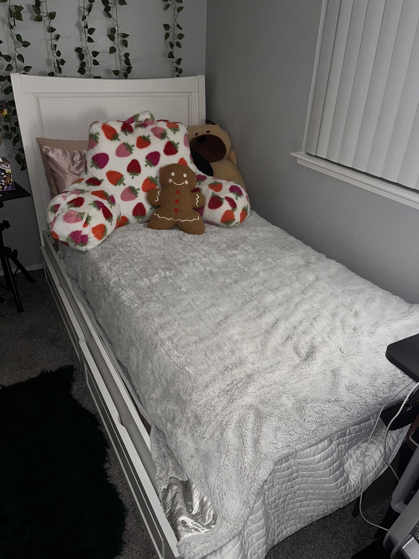 White Twin Bed Frame