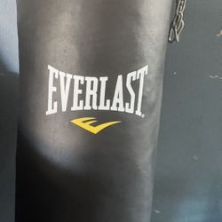 Punching Bag 100 Lbs 