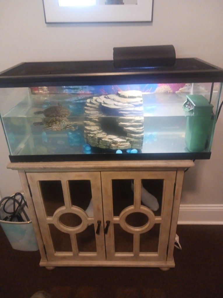 Turtle 🐢 With Tank And Filter Lamp