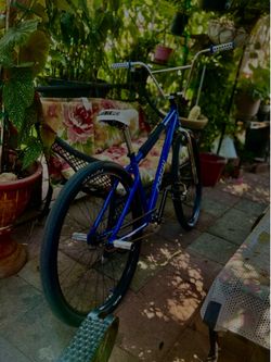 Crew Bike 29in