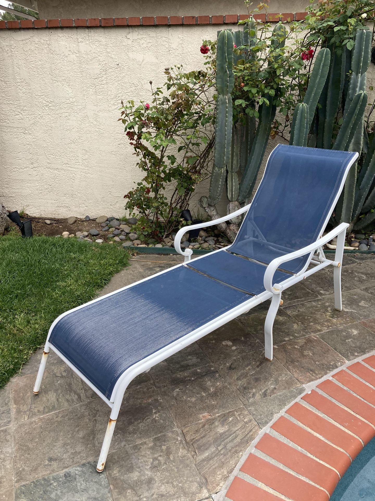 Chaise Lounge Pool Recliner 