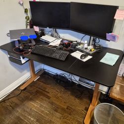 Stand Up Desk 55x24
