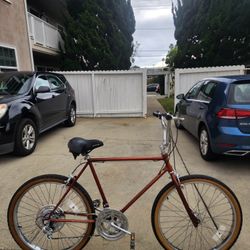 Schwinn sidewinder 1982 in original chesnut brown.  In excellent condition! $425