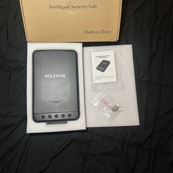 Gun lock box