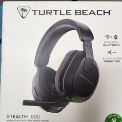 Turtle beach headset