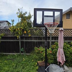 Basketball Hoop 