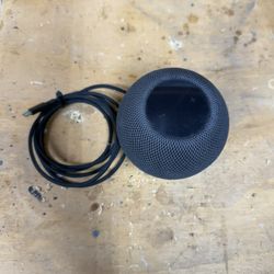 Home Pod Mini