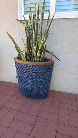 Planter with flowers inside