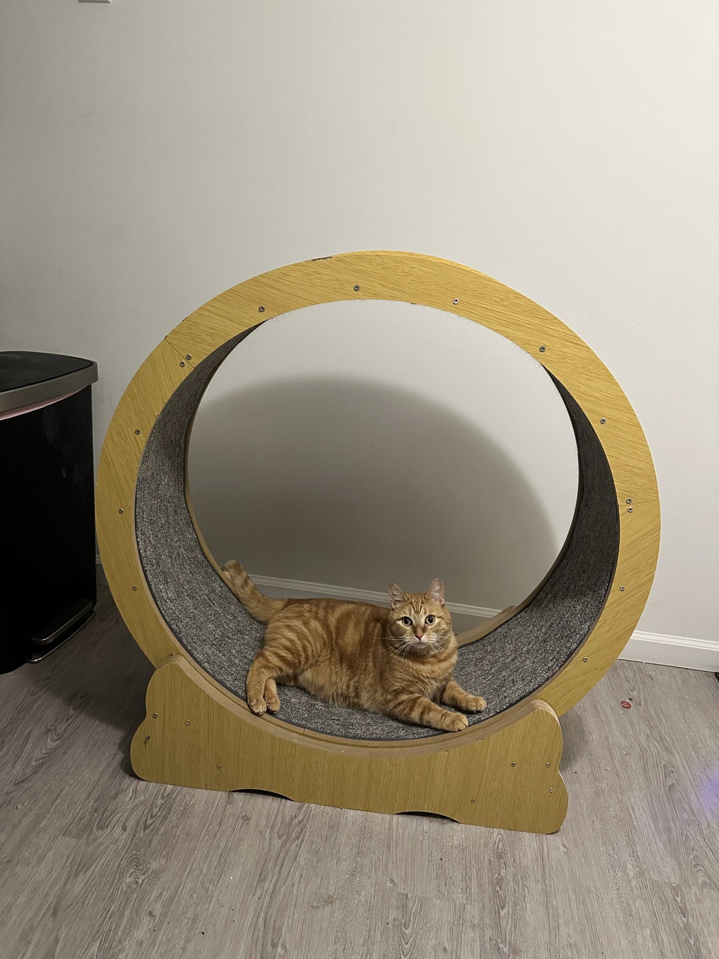 Large Wooden Cat Wheel