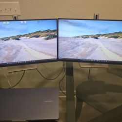 24 Inch Dell Monitors