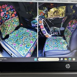 FUN Car Seat protectors From Natural Life!