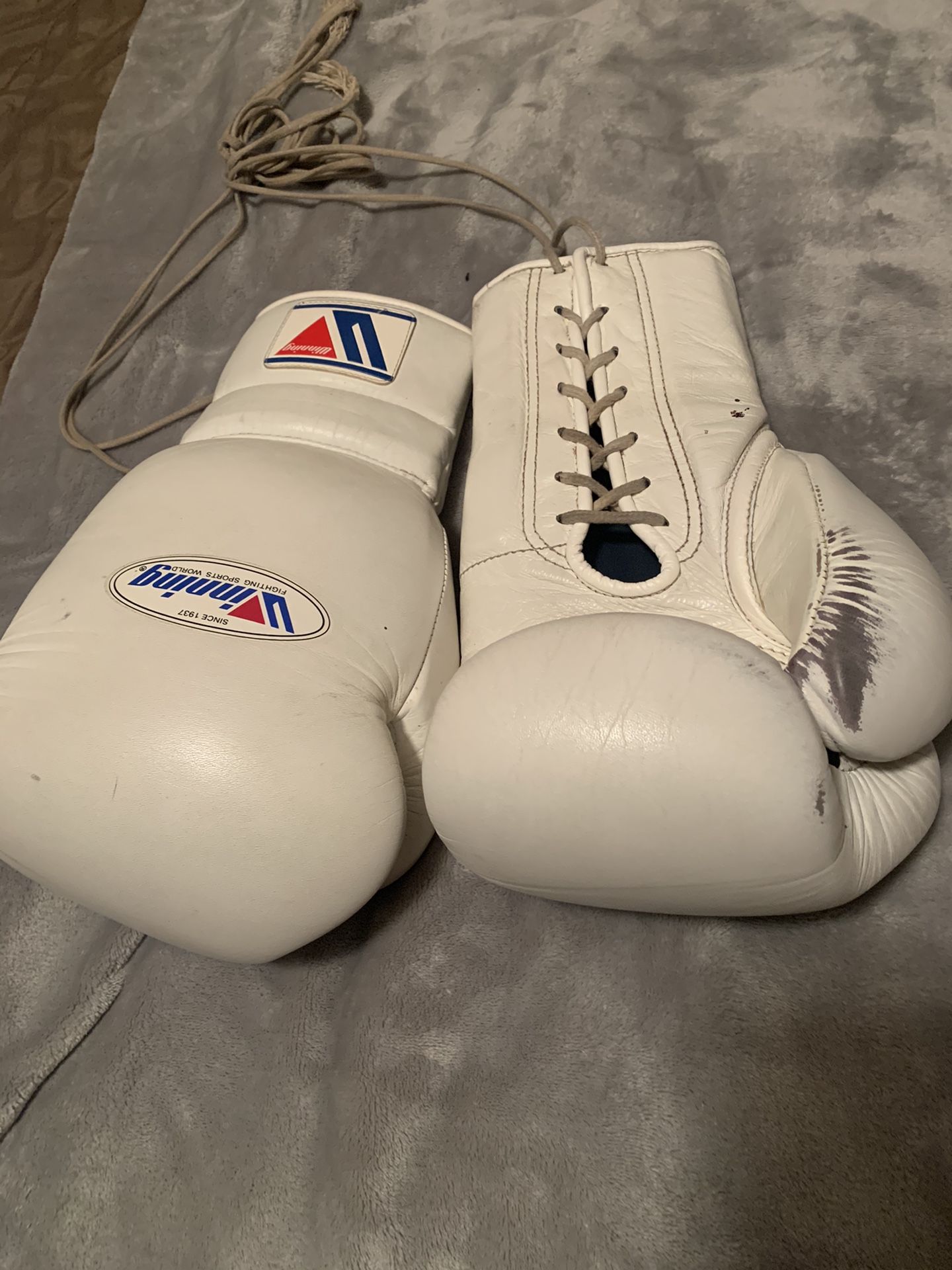 Winning Boxing Gloves.