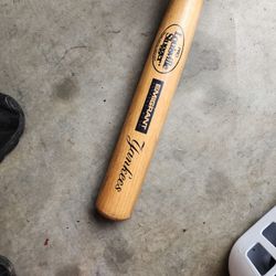 Old PRO Louisville Slugger 