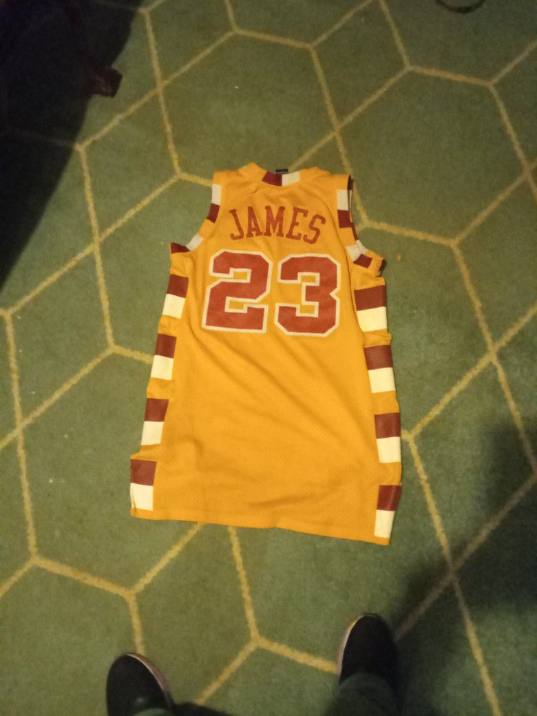 Reebok LeBron James NBA jersey
