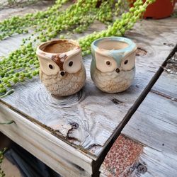 Owl Pots. (Small)