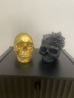 2 Decorative Skulls