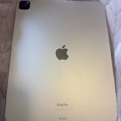 iPad Pro 12.9 Inch 6th Gen Wifi + Cellular 256gb
