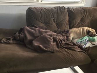 Brown Sectional