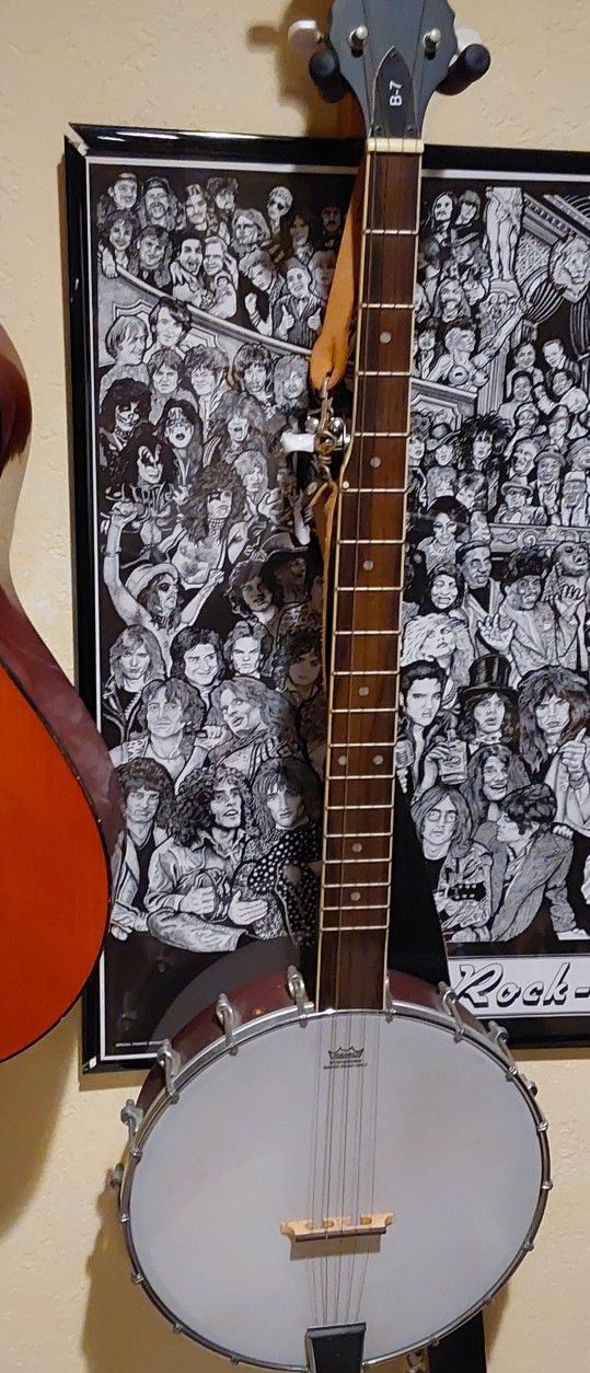 Washburn Banjo