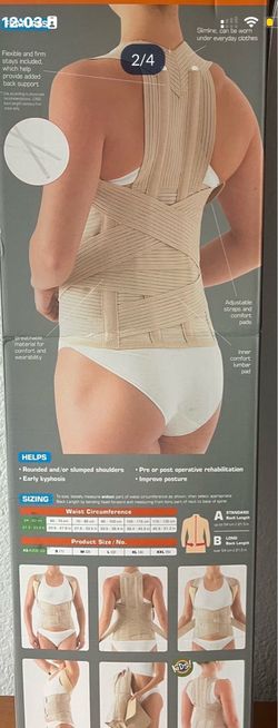 Back support Brace
