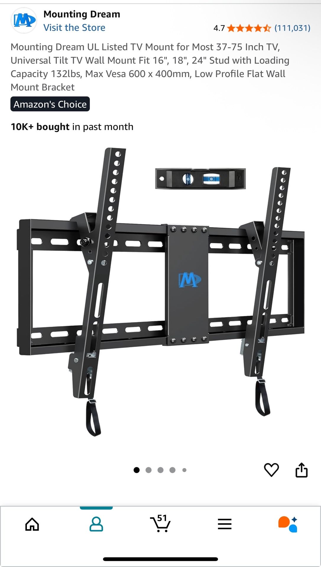 TV Mount