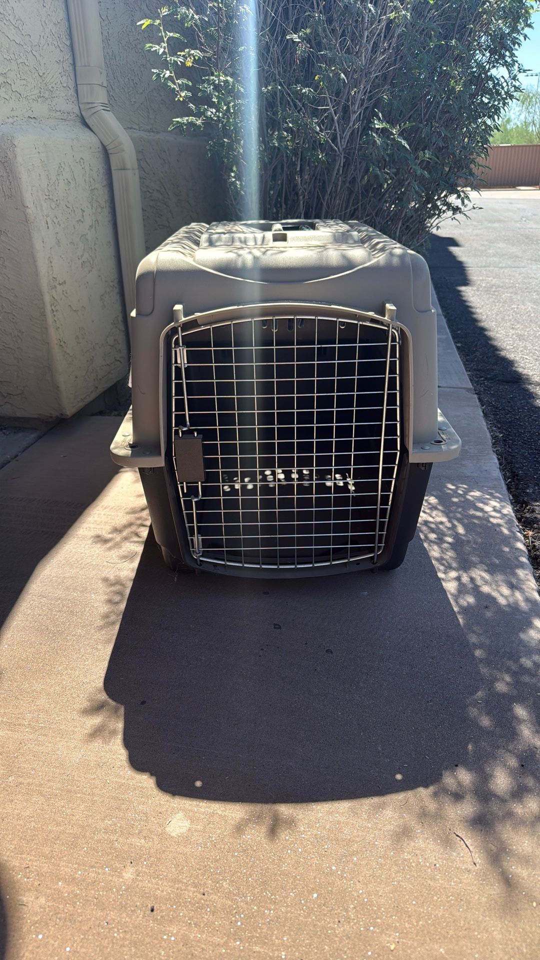 Animal Carrier 