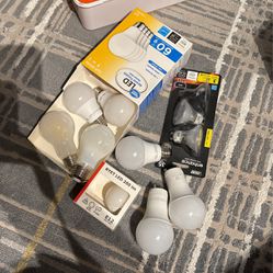 Light Bulbs LED Mix White And Soft White 