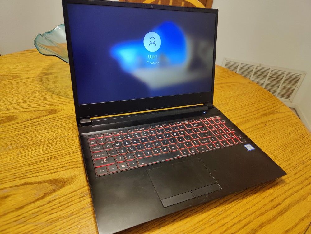 Sager Gaming Laptop 15.6 ,8th Gen, i7, 24 GB , 1.5tb SSD
