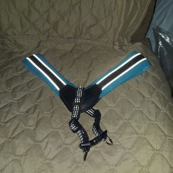 Dog Harness