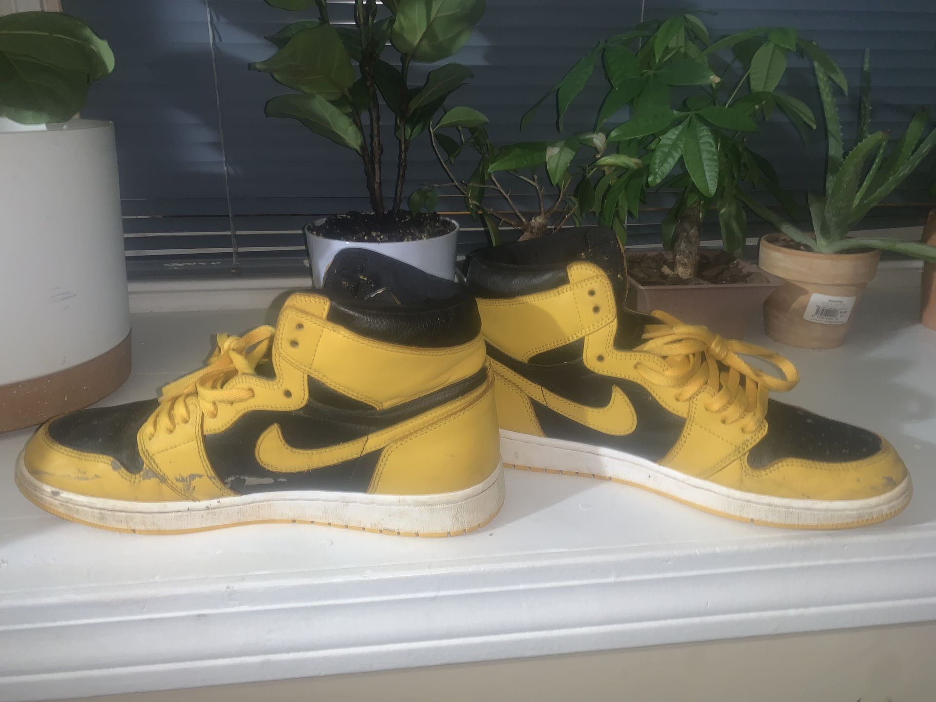 OG Jordan 1 Hi Pollen