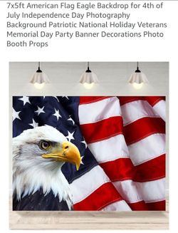 New American flag eagle banner