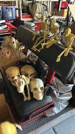Halloween Skeletons