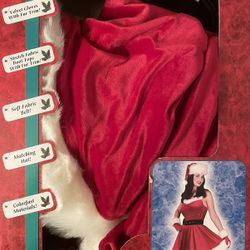 SEXY SANTA BABY Halloween costume by Fun World w velvet dress + accessories