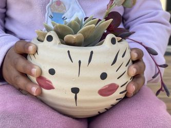 Cat Succulent Arrangement 