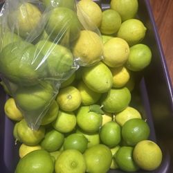 Fresh Lemons 