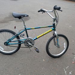 Old Bmx Bike 