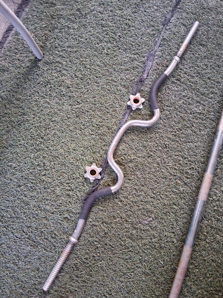 Curl Bar