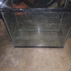 Large Fish Tank