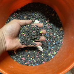 Aquarium Gravel 
