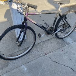 Bicycle For Sale , Need Love And Maybe New Tires