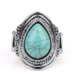 Saguaro Scene Blue Ring